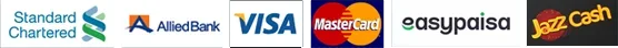 Payment methods accepted by PK Domain