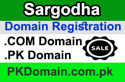 Domain Registration in Sargodha